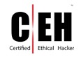 Certified Ethical Hacker Services in USA - WATI